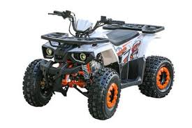 Atvtrader.com is the online source for all your atv needs. Coleman Youth Atv At125ut At Tractor Supply Co
