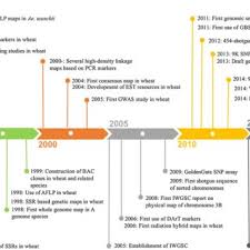 Pdf From Markers To Genome Based Breeding In Wheat