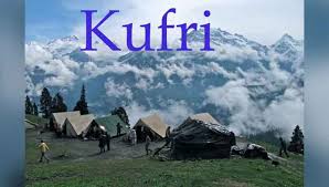 Image result for KUFRI