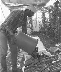 Chapitre 64 L Agriculture Et Les Secteurs Connexes