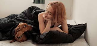 Warum Hunde die besseren Bettgefährten sind als Männer - beziehungsweise