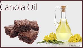 Have You Tried These 7 Vegetable Oil Substitutes For Brownies Tastessence