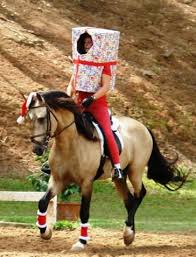 Maybe you would like to learn more about one of these? Horse Christmas Costume Horse Costumes Horse Halloween Costumes Christmas Horses