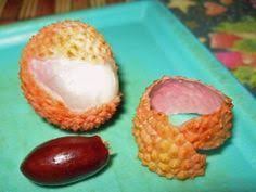 Faire Pousser Un Litchi Avec Son Noyau 1 Jardinage En Pots Jardins Jardinage