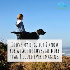 Pin On Dog Quotes