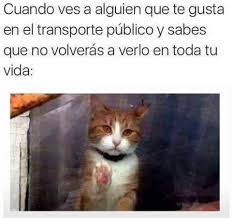 Resultado de imagen para historias de amor