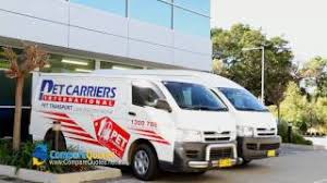 Maybe you would like to learn more about one of these? International Pet Travel Export And Import International Pet Transport