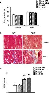 He can handle himself with his fists, to put it another way. Nephrectomy Does Not Exacerbate Cancellous Bone Loss In Thalassemic Mice Scientific Reports