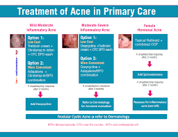 Problem Solving Acne Flow Chart 2019