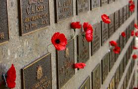 Image result for Poppy Red 1993 Town and Country