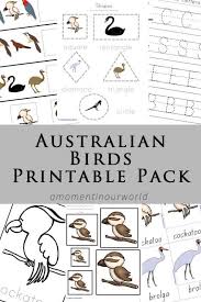 Australian Birds Printable Pack Australian Birds Birds For Kids Australia For Kids