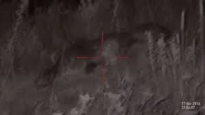 High definition (hd) color display. Hogs Hunting With Nv Atn X Sight Ii Hd 3 14x Day And Night Rifle Scope Youtube