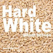 Brought from russia to kansas by mennonite colonies in 1874. Hard White Spring Wheat Berries Breadtopia
