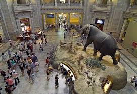 Archived Rookie National History History Museum Natural History