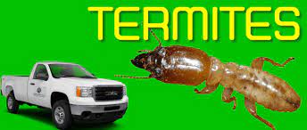Hire the best pest control services in houston, tx on homeadvisor. Termite And Pest Control Brownsville Texas 956 551 1546