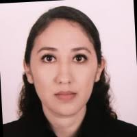 90+ "Rosas Valdez" profiles