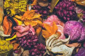 6 to 30 characters long; How To Dry Flowers Blog Flamenco Flowers