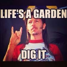 Maybe you would like to learn more about one of these? Joe Dirt Lifes A Garden Shefalitayal