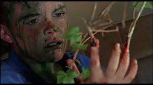 Todd totally was transported to another dimension when he ate that strawberry egg thing. Troll And Troll 2 Review