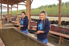 We did not find results for: Employment Gold Daughters