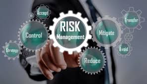 Image result for Risk Management