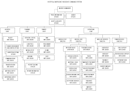 78 Proper Ics Chart Template