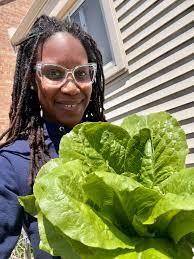 When to harvest rainbow pepper plant leaves?