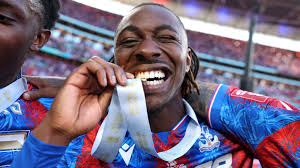 Lion #arsenalfanaticsnews 🦁