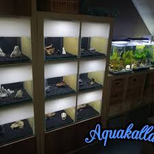 Kallax Expedit Mit Nano Aquarien Aquarien Garnelen Aquarium Aquarium