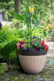 We did not find results for: Ailani Resin Planter 2 Pack Resin Planters White Planters Outdoor Flower Pots