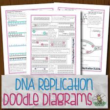 The replication fork is the branched (forked) dna at either end of the replication bubble. Dna Replication Doodle Diagrams Store Science And Math With Mrs Lau