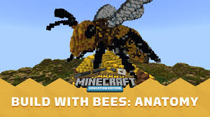 He builds large futuristic towers for his farms but always finds a way to incorporate honey into the build. Minecraft Education Edition Pa Twitter For The Lessonoftheweek Students Get To Know The Anatomy Of Bees And Compare It With Characteristics Common To All Insects Then Use This Information To Design Their