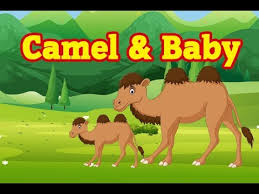 You will also find many more hindi vocabulary. Camel And Baby Moral Story For Kids Youtube