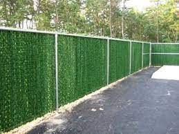 Evergreen Hedge Insert For Chain Link Fence Considering A Green Chain Link Fence To Replace Our Existing Deer Fence Cloture Jardin Amenagement Jardin Jardins