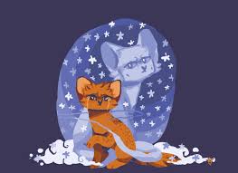 Tess McRae — commonvision