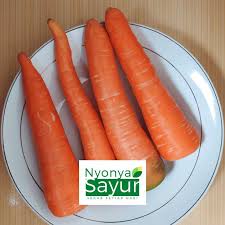16 clipart gambar animasi wortel. Jual Nyonya Sayur Wortel Berastagi Import 250 Gr Terbaru Juni 2021 Blibli