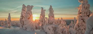 In this blog post i'm sharing all the insiders tips on everything you need to know for planning your own trip to lapland, finland. Lappland Im Winter Reisen Hundeschlitten Polarlichter