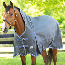 Cleaning Storing Horse Blankets Protect Your Investment Horseman S News