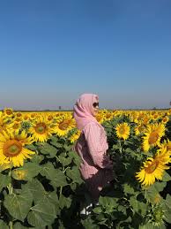 Kebun bunga matahari bantul jogja batu bali taman puncak malang indonesia yogyakarta kediri samas perkebunan cisarua bogor jakarta cipanas bandung oro ombo sanden thailand pantai gunung api. Hari 3 Kenangan Terindah Di Ladang Bunga Matahari Di Lopburi Azie Kitchen