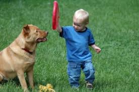 Image result for anthropomorphism