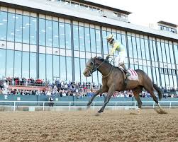 Kentucky Derby Leaderboard: Silent Tactic, Renegade Share Top Spot