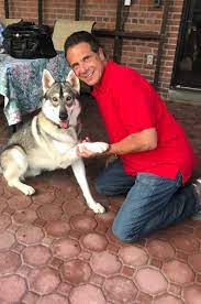 Andrew cuomo stayed defiant after a probe. Andrew Cuomo Auf Twitter Happy National Dog Day From Captain And Me