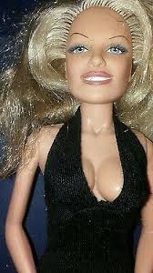 Pamela anderson signed collection