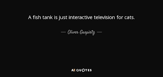 201 famous quotes about tanks: Oliver Gaspirtz Quote A Fish Tank Is Just Interactive Television For Cats