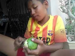 Dengan grimoire terbuka, pengguna menghasilkan bola api di telapak tangannya. Cara Membuat Bola Api Buah Youtube