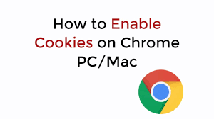 Remove stored cookies and data: How To Enable Cookies On Chrome Pc Mac 2021 Youtube