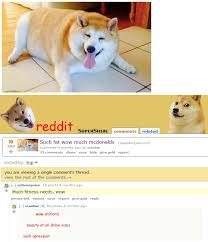 Find the best doge meme wallpaper on getwallpapers. Such Fat Wow Much Mcdonalds Doge Know Your Meme