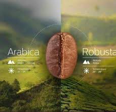 Espressomaschinen Mit Siebtrager Angebote Siebtragermaschinen Beste Kaffeebohnen Kaffeebohnen Kaffeesuchtiger