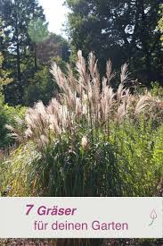 Ziergraser Fur Den Garten Ornamental Grasses Herb Garden Design Grasses Garden