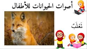 ثعلب أسماء الحيوانات للأطفال وأصواتها animals fox